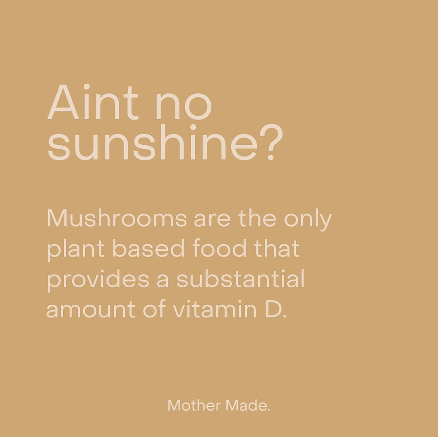Mother Made - Energy: Mushroom Capsules - the good tonic